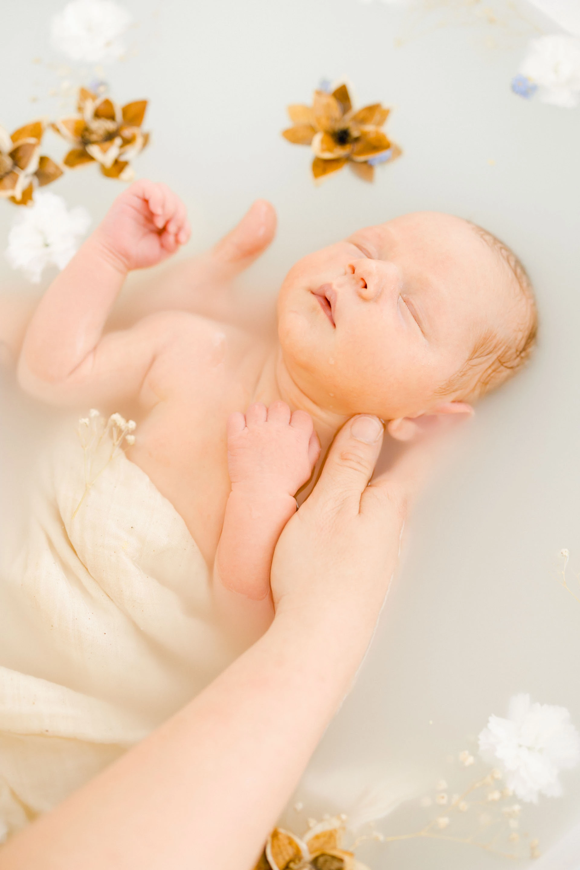 pétale enfant rose marron gris